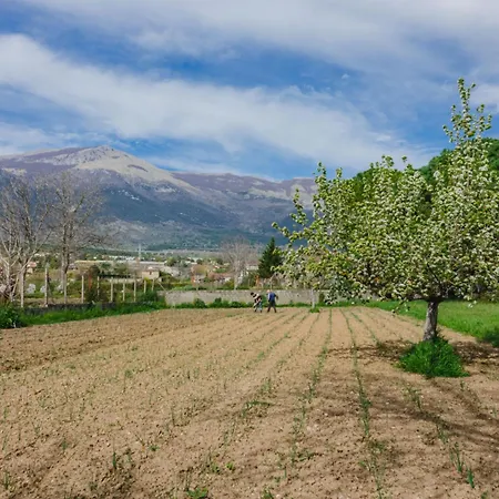 Bed & Breakfast Casamonaco