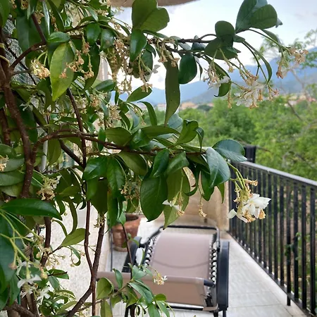 Casamonaco Bed & Breakfast